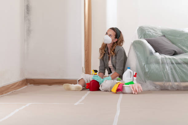Reliable Mold Remediation contractor in Manchester, TN by Mold Remediation HQ
